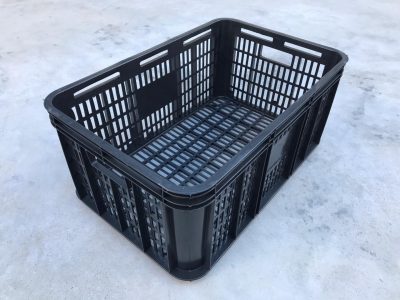 555 x 360 x 240 mm - C001160R